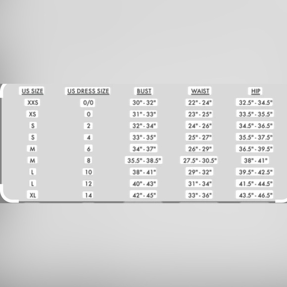 V. Chapman June Dress Pink Rose Print - Picture 10 of 10